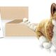 Illustration for article titled This Site Will Make a Stuffed Animal Clone of Your Pet